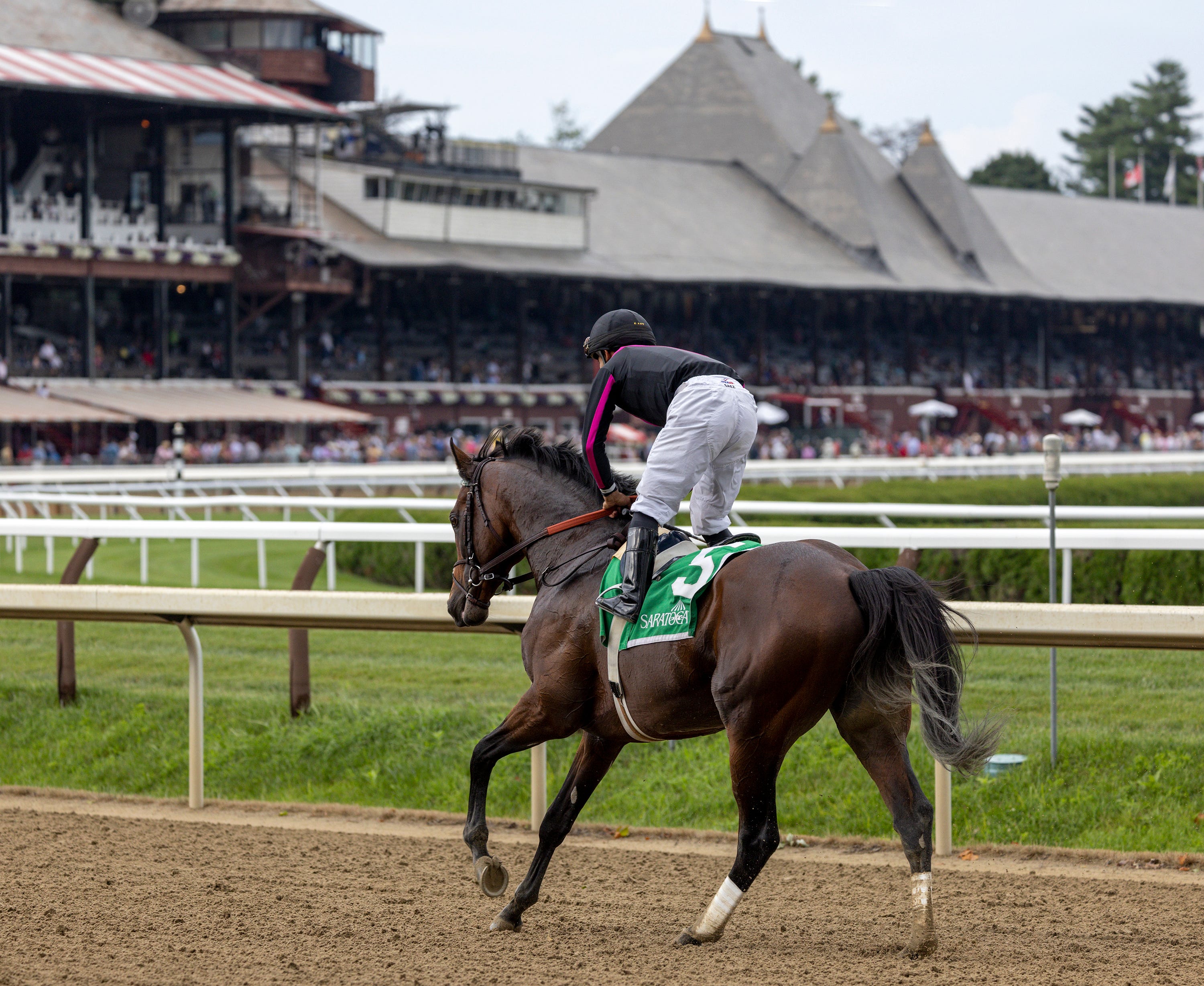 Saratoga stakes schedule reduced by six stakes, more than 1.8 million